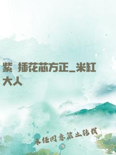 紫龍插花芯方正