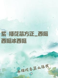 紫龍插花芯方正