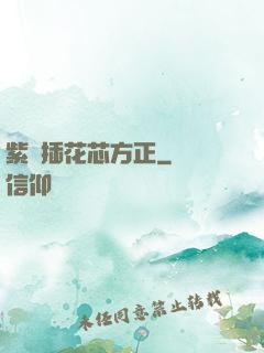 紫龍插花芯方正