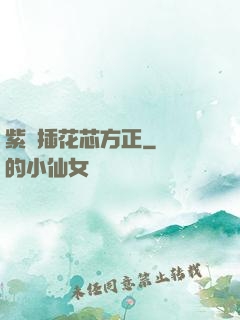 紫龍插花芯方正