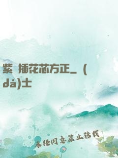 紫龍插花芯方正