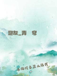 終極炮灰
