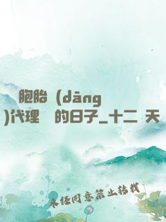 給雙胞胎當(dāng)代理媽媽的日子
