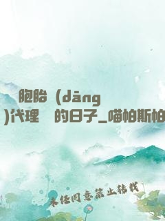 給雙胞胎當(dāng)代理媽媽的日子