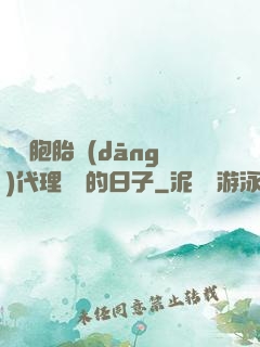 給雙胞胎當(dāng)代理媽媽的日子