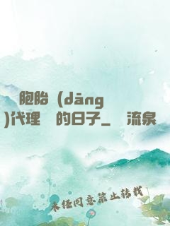 給雙胞胎當(dāng)代理媽媽的日子