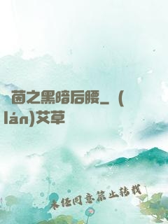 綠茵之黑暗后腰