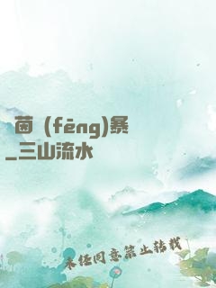 綠茵風(fēng)暴