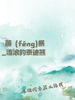 綠茵風(fēng)暴