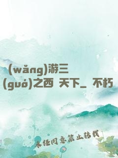 網(wǎng)游三國(guó)之西涼天下