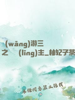 網(wǎng)游三國之無敵領(lǐng)主