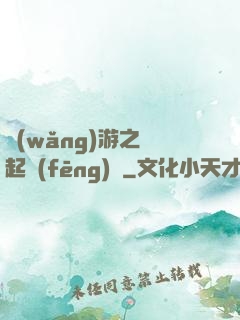 網(wǎng)游之劍起風(fēng)塵