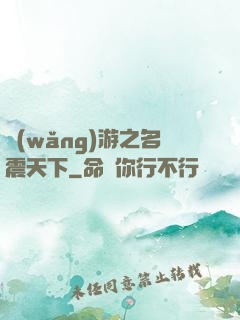 網(wǎng)游之名震天下