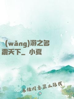 網(wǎng)游之名震天下