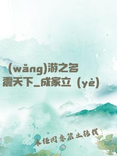 網(wǎng)游之名震天下