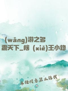 網(wǎng)游之名震天下