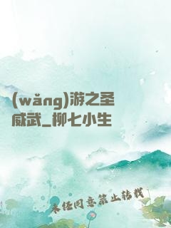 網(wǎng)游之圣騎威武