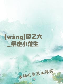 網(wǎng)游之大盜賊