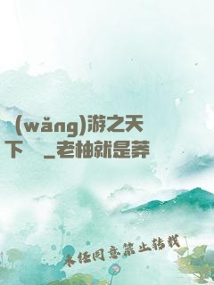 網(wǎng)游之天下無敵