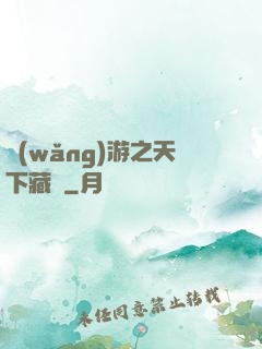 網(wǎng)游之天下藏鋒