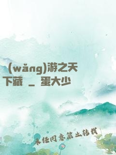 網(wǎng)游之天下藏鋒