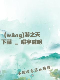 網(wǎng)游之天下藏鋒