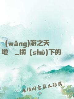 網(wǎng)游之天地縱橫