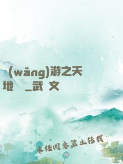 網(wǎng)游之天地縱橫