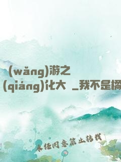 網(wǎng)游之強(qiáng)化大師