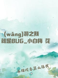 網(wǎng)游之我就是BUG