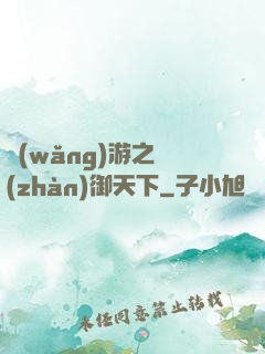 網(wǎng)游之戰(zhàn)御天下