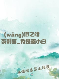 網(wǎng)游之暗夜刺客