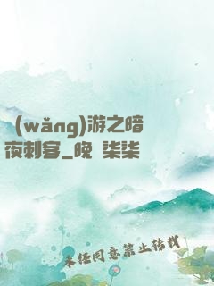 網(wǎng)游之暗夜刺客