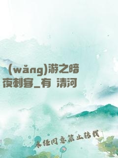 網(wǎng)游之暗夜刺客