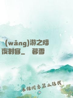 網(wǎng)游之暗夜刺客