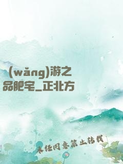 網(wǎng)游之極品肥宅