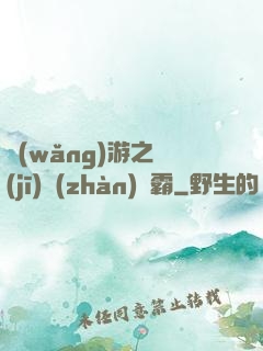 網(wǎng)游之機(jī)戰(zhàn)稱霸