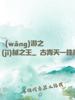 網(wǎng)游之機(jī)械之王