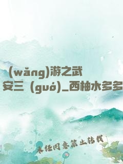網(wǎng)游之武安三國(guó)