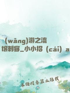 網(wǎng)游之流氓刺客