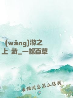 網(wǎng)游之無上靈武