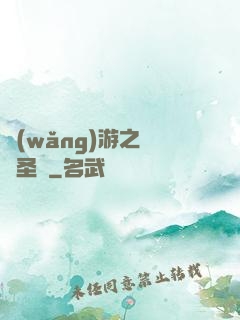網(wǎng)游之無敵圣騎