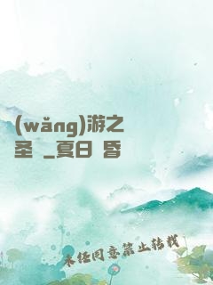 網(wǎng)游之無敵圣騎