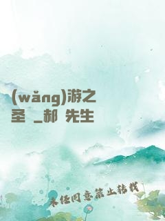 網(wǎng)游之無敵圣騎