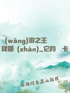 網(wǎng)游之王牌盾戰(zhàn)