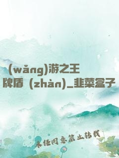 網(wǎng)游之王牌盾戰(zhàn)