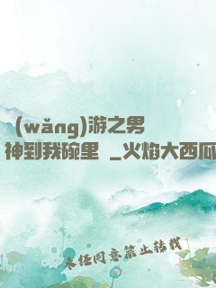網(wǎng)游之男神到我碗里來
