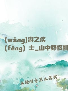 網(wǎng)游之疾風(fēng)劍士