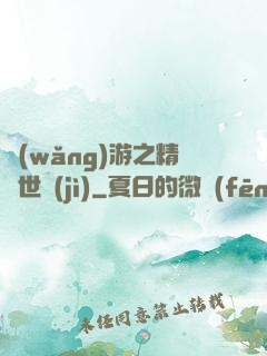 網(wǎng)游之精靈世紀(jì)