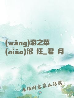 網(wǎng)游之菜鳥(niǎo)很瘋狂